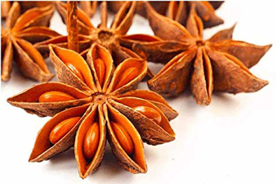 Bajya (Star Anise) 20g